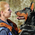 Profile picture of Michellie Jones